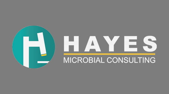 Hayes Microbial Consulting Logo with attached report for mold inspection